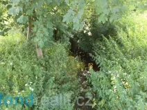 Prodej pozemku, Staré Buky, 154 m2