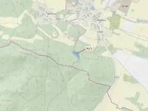 Dražba lesa, Pačejov, 3251 m2