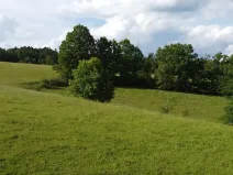 Dražba louky, Zábřeh, 2481 m2