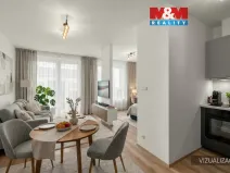 Pronájem bytu 1+kk, Kralupy nad Vltavou, Nádražní, 37 m2