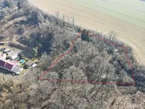 Prodej pozemku pro bydlení, Horšovský Týn, Železniční, 4638 m2