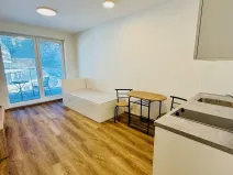 Pronájem bytu 1+kk, Brno, Bystrcká, 28 m2