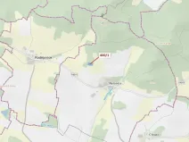 Dražba lesa, Bílsko, 3965 m2