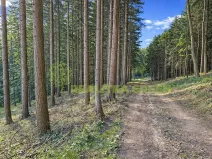 Prodej lesa, Zlín, Modřínová, 179312 m2