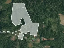 Prodej lesa, Prostřední Bečva, 45503 m2