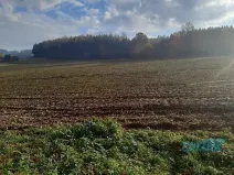 Prodej pozemku pro bydlení, Klatovy, 16834 m2