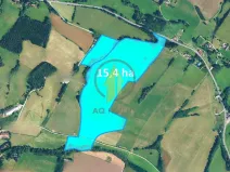 Prodej pole, Horní Olešnice, 153952 m2