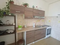 Pronájem bytu 1+1, Olomouc, Zeyerova, 40 m2