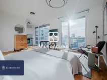 Pronájem bytu 1+kk, Praha - Žižkov, Olgy Havlové, 40 m2