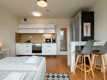 Pronájem bytu 1+kk, Praha - Vinohrady, Perucká, 25 m2