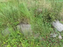 Dražba pozemku, Velké Karlovice, 3388 m2