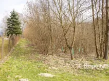 Prodej lesa, Železný Brod, Příkrá, 2712 m2