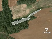 Prodej lesa, Šípy, 2437 m2