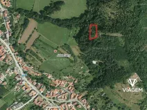 Prodej podílu lesa, Jabloňany, 1653 m2