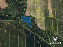 Prodej podílu lesa, Pozdeň, 2404 m2