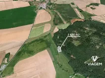 Prodej podílu lesa, Koloveč, 707 m2