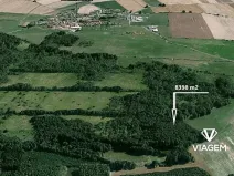 Prodej lesa, Borkovice, 8398 m2