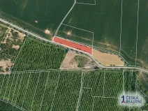 Prodej zahrady, Vinařice, 2575 m2