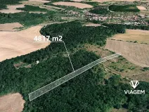 Prodej lesa, Silůvky, 4817 m2