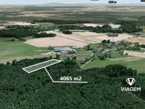 Prodej podílu lesa, Drahov, 2032 m2