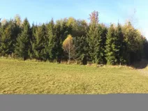 Prodej pozemku, Budišov nad Budišovkou, 60778 m2