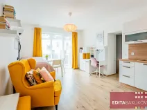 Pronájem bytu 1+kk, Olomouc, Eduarda Hamburgera, 33 m2