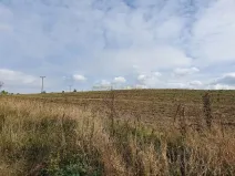 Prodej komerčního pozemku, Osová Bítýška, 12981 m2