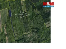 Prodej lesa, Luhačovice, 13296 m2