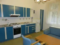 Pronájem bytu 1+1, Praha - Staré Město, Haštalské náměstí, 48 m2