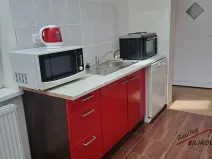 Pronájem bytu 1+1, Mochov, Havlíčkova, 28 m2