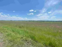 Dražba louky, Kravaře, 2873 m2