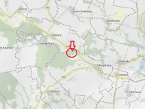 Prodej lesa, Vémyslice, 5661 m2