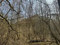 Prodej lesa, Chocnějovice, 2953 m2