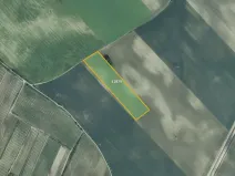 Prodej pole, Mutěnice, 26029 m2