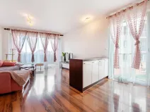 Pronájem bytu 2+kk, Chotěšov, Nová, 50 m2