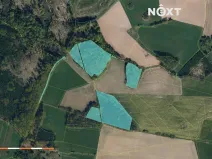 Prodej lesa, Věž, 41070 m2