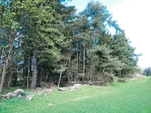 Prodej lesa, Nová Bystřice, 1069 m2