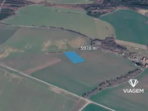 Prodej pole, Prusice, 5978 m2