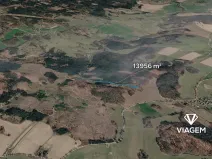 Prodej lesa, Řečice, 13956 m2