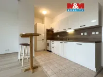 Pronájem bytu 1+kk, Plzeň - Doubravka, Moravská, 44 m2