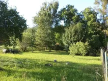 Prodej zahrady, Město Albrechtice - Burkvíz, 694 m2