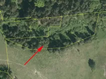 Prodej louky, Horní Dvořiště, 3918 m2