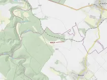 Dražba lesa, Březník, 234 m2
