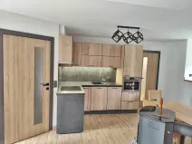 Pronájem bytu 1+1, Harrachov, 60 m2