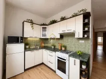 Pronájem bytu 1+1, Ostrava, Veleslavínova, 50 m2