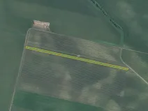 Prodej sadu/vinice, Terezín, 5465 m2