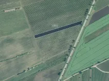 Prodej sadu/vinice, Hovorany, 3926 m2