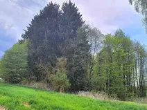 Prodej pozemku, Lipová, 927 m2