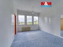 Pronájem obchodního prostoru, Nepomuk, Na Vinici III., 39 m2