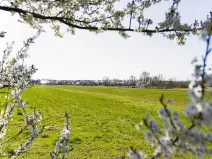 Prodej komerčního pozemku, Pardubice, 11061 m2